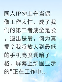 当偶像工作成为我的第三者