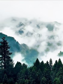 综影视：浮梦千转