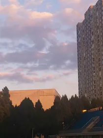 梧桐般的暗恋