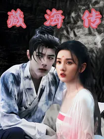 藏海传：沙了吧订单