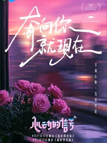恋综：填补意难平