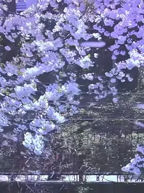 综影视：年下