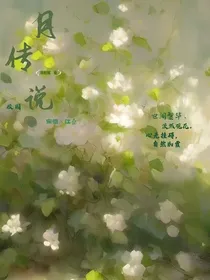 碎月传说
