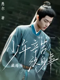 藏海传：少年辛苦终身事