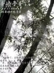 青屿子青