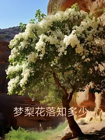 梦梨花落知多少