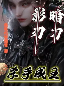 暗刀影刃：杀手成王