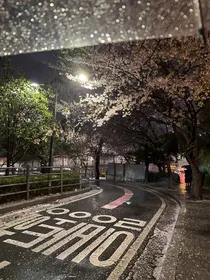韩娱之魅魔的日常