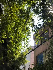 遇见你如春天