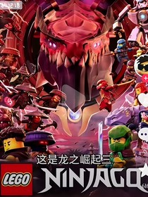 忍者之凯的身份