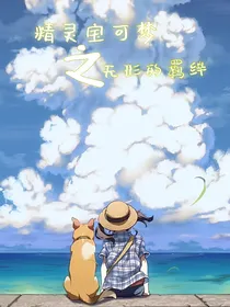 精灵宝可梦之无形的羁绊
