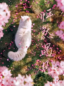 怦然遇见