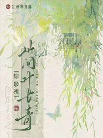综影视：此间叶长青