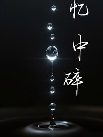 忆中碎