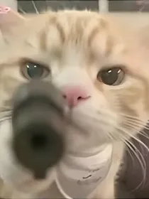 暗杀学者：狼人杀