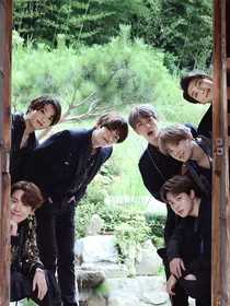 BTS：她恃宠而骄