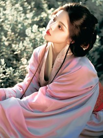 藏海传：白日提灯