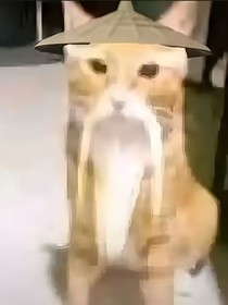 全程高能，无喘息