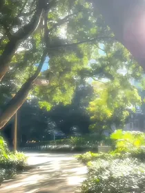 你是我的唯一星辰（原创）