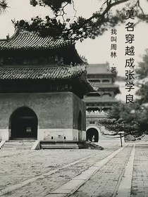 穿越成为张学良
