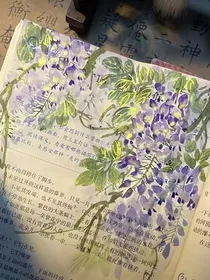 乌啼里的Summer