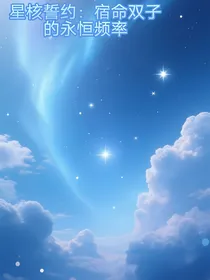 星核誓约：宿命双子的永恒频率