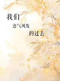 我们意气风发的过去