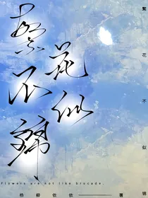 繁花不似锦
