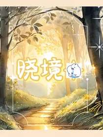 晓境