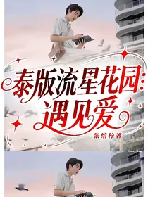 泰版流星花园：遇见爱