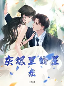 灰烬里的星光