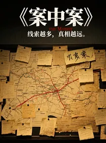六五：案中案