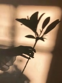 云轻雨荒