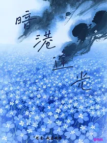 He：暗港逢光