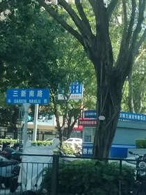 他和他的意难平