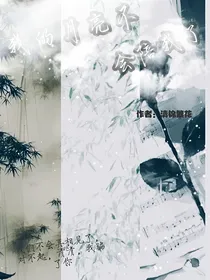 我的月亮不会陪我了