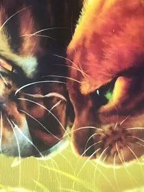 猫武士cp文（全糖放心食用）