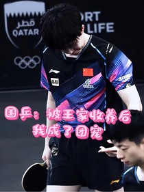 国乒：被王家收养后我成了团宠