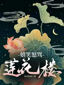 嬉笑怒骂莲花楼