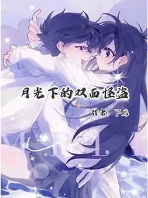 月光下的双面怪盗