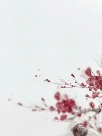 刎玉录