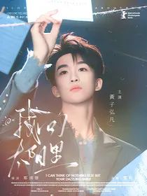 黄子弘凡：我向太阳里