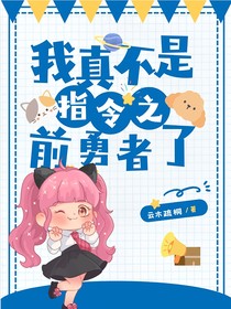 指令宝贝之前勇者