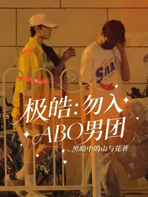 极皓：勿入ABO男团（上册）