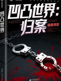凹凸世界：归案