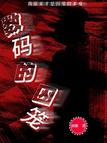 数码的囚笼