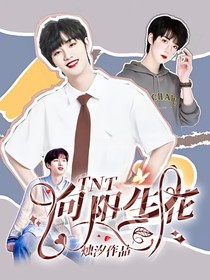 TNT：向阳生花