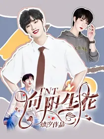 TNT：向阳生花