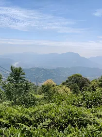 穿越成史莱克八怪