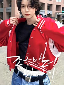 韩娱：不温柔的他